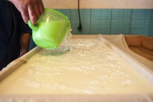 lapte branza